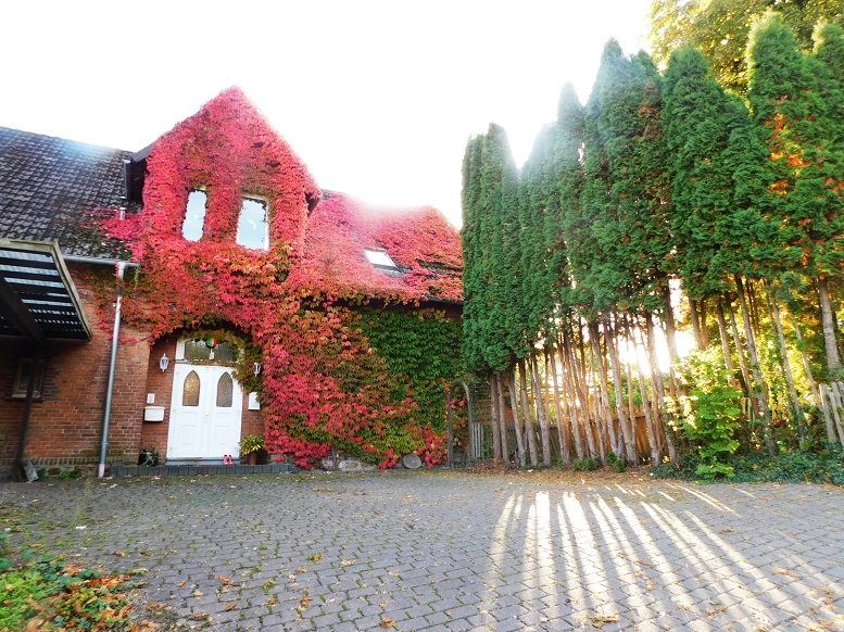 Das alte Lehrerhaus Bussings