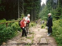 Harz2006 5