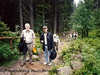 Harz2006 6