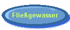 Flie�gew�sser