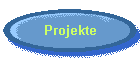 Projekte